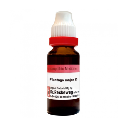 Dr. Reckeweg Plantago M.Q