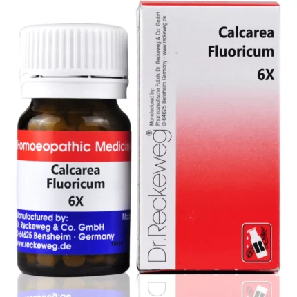 Dr Reckeweg Calcarea Fluoricum 6X Biochemic Tablets 20g by Dava Global