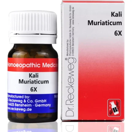 Dr Reckeweg Kali Muriaticum 6X Biochemic Tablets 20g by Dava Global