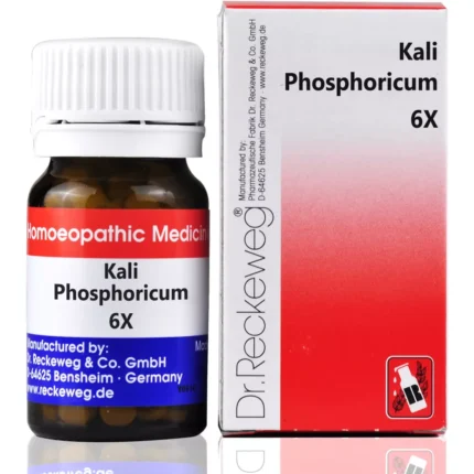 Dr Reckeweg Kali Phosphoricum 6X Biochemic Tablets 20g by Dava Global