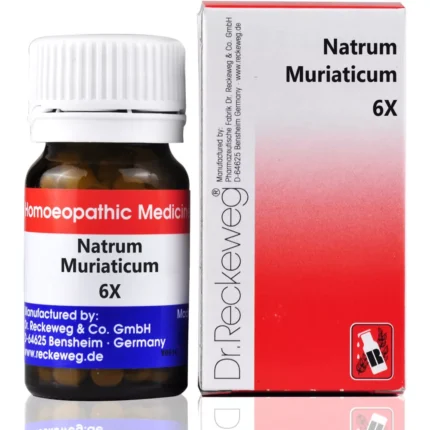 Dr Reckeweg Natrum Muriaticum 6X Biochemic Tablets 20g by Dava Global
