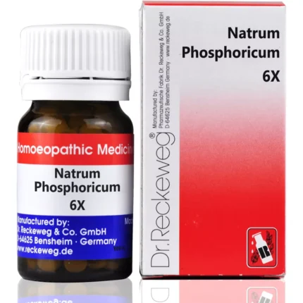 Dr Reckeweg Natrum Phosphoricum 6X Biochemic Tablets 20g by Dava Global