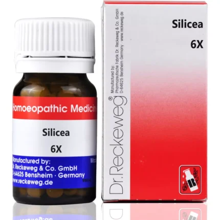 Dr Reckeweg Silicea 6X Biochemic Tablets 20g by Dava Global