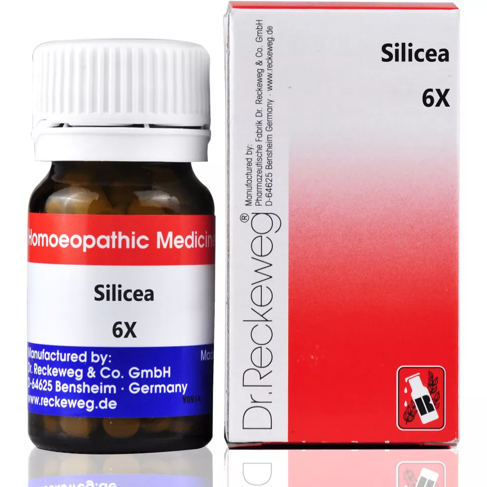 237-1-1000 Dr Reckeweg Silicea 6X Biochemic Tablets 20g by Dava Global