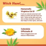 Medisynth Dr. VcNally's Witch Hazel Cream 20g for Sensitive Skin