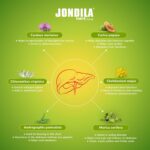 Medisynth Jondila Forte Syrup Hepatoprotector 450ml by Dava Global
