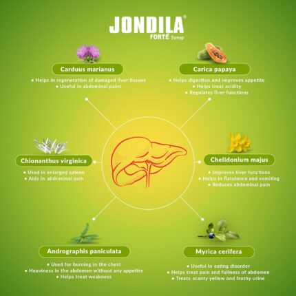Medisynth Jondila Forte Syrup Hepatoprotector 450ml by Dava Global