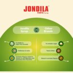 Medisynth Jondila Forte Syrup Hepatoprotector 450ml by Dava Global