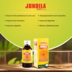 Medisynth Jondila Forte Syrup Hepatoprotector 450ml by Dava Global