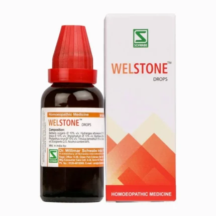 Dr. Willmar Schwabe India Welstone Drops 30ml for Kidney Stone Support