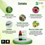 Dr Willmar Schwabe India Sabal Pentarkan Drops for Cystitis by Dava Global