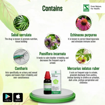 Dr Willmar Schwabe India Sabal Pentarkan Drops for Cystitis by Dava Global